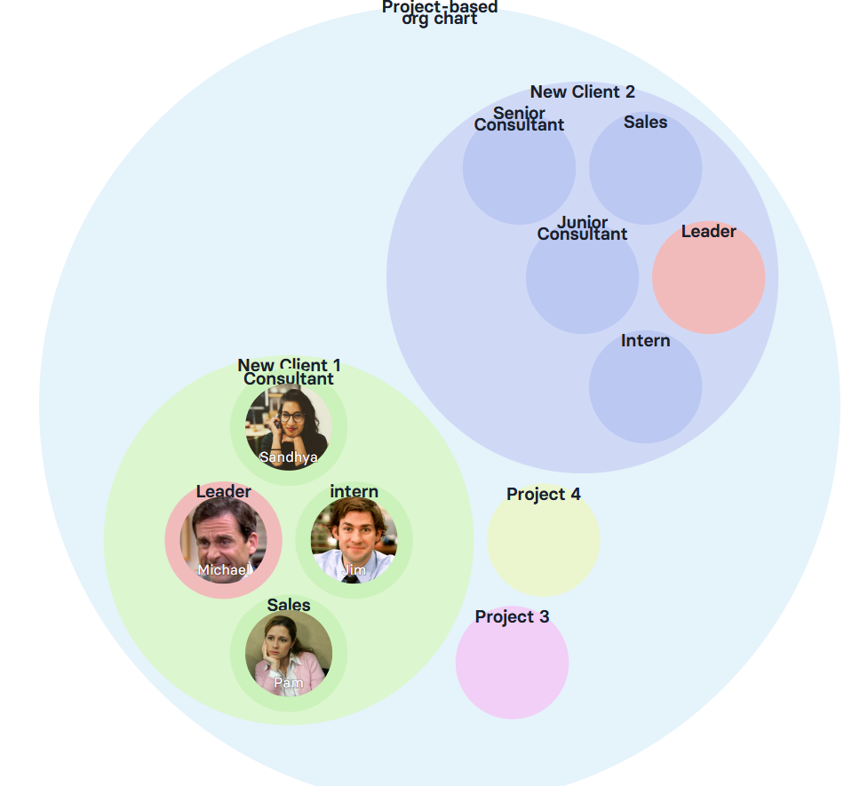 Organigramme par projet dans Rolebase, où chaque projet regroupe les rôles qu'il mobilise